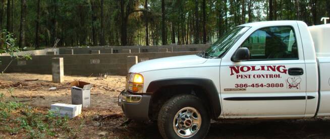 log home foundation pest spray