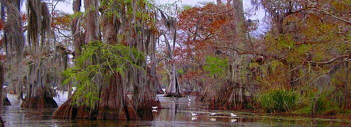 Florida Cypress Log Homes by LogHomeGuys.com